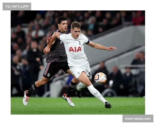 黄潜中卫轻量化配置，保·纳瓦罗福伊特适配高位防线